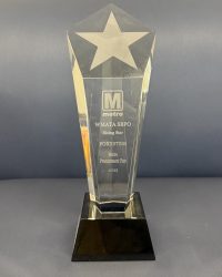 FOXXSTEM, a CBE and DBE engineering firm's WMATA Rising Star Award